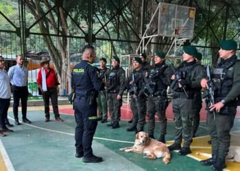 Reforzarán seguridad e implementarán medidas de movilidad para el Cañón del Combeima