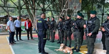 Reforzarán seguridad e implementarán medidas de movilidad para el Cañón del Combeima