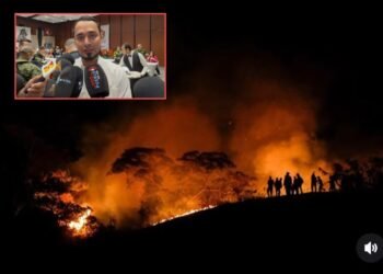 ¡Tragedia ambiental! San Luis perdió más de 7.500 hectáreas en una semana