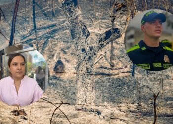 Inspectores de Policía deberán reforzar vigilancia para prevenir ´quemas controladas´ en el Tolima