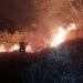 Tolima mantiene 12 incendios activos y alerta por el fenómeno de El Niño