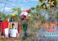 Incendios no dan tregua en Chaparral: bomberos reportan más de 20 hectáreas consumidas