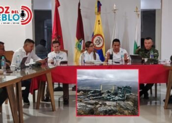 MinDefensa aumentará pie de fuerza en el sur del Tolima tras ataques con drones