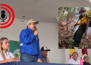 “Ni siquiera puede quemar la basura”: Cortolima advierte que están prohibidas todas las quemas en Tolima