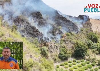 La candela no nace sola”: Defensa Civil advierte posible mano criminal detrás de incendios en Tolima