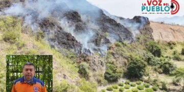 La candela no nace sola”: Defensa Civil advierte posible mano criminal detrás de incendios en Tolima