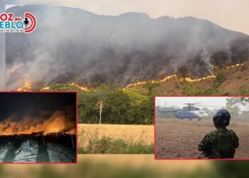 Gobernadora ordena militarizar zonas críticas del Tolima ante devastadores incendios forestales