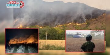 Gobernadora ordena militarizar zonas críticas del Tolima ante devastadores incendios forestales