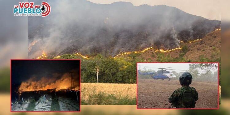 Gobernadora ordena militarizar zonas críticas del Tolima ante devastadores incendios forestales