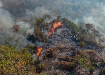 Incendios forestales dejan más de 31.000 hectáreas afectadas en Tolima
