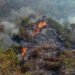 Incendios forestales dejan más de 31.000 hectáreas afectadas en Tolima