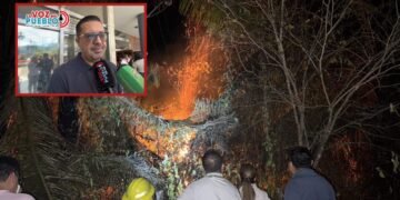 Ortega sobrevivió al fuego, pero enfrenta ahora otra emergencia: impacto psicológico