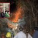 Ortega sobrevivió al fuego, pero enfrenta ahora otra emergencia: impacto psicológico