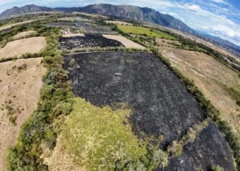 Bomberos controlaron incendio forestal en el sector de Aparco