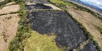 Bomberos controlaron incendio forestal en el sector de Aparco