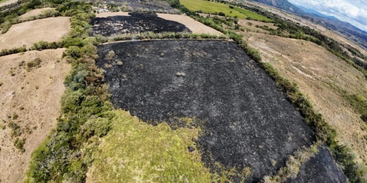 Bomberos controlaron incendio forestal en el sector de Aparco