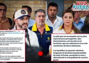 “Me voy a gobernar desde Ataco”: gobernadora desafía a los violentos y pide plan especial al presidente para el Tolima