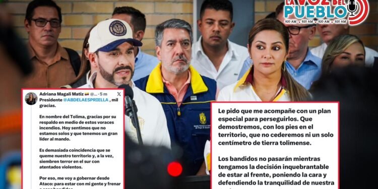 “Me voy a gobernar desde Ataco”: gobernadora desafía a los violentos y pide plan especial al presidente para el Tolima