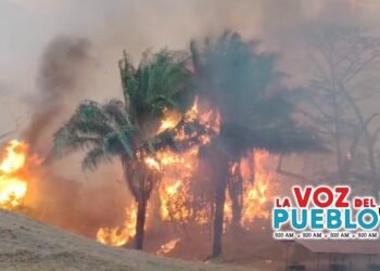 San Luis, Chaparral, Ortega y Honda, en emergencias críticas y cientos de hectáreas afectadas por incendios forestales