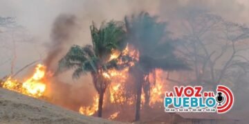 San Luis, Chaparral, Ortega y Honda, en emergencias críticas y cientos de hectáreas afectadas por incendios forestales