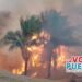 San Luis, Chaparral, Ortega y Honda, en emergencias críticas y cientos de hectáreas afectadas por incendios forestales