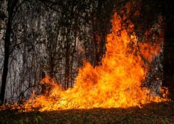Se declara la calamidad pública en el Tolima ante emergencia por incendios