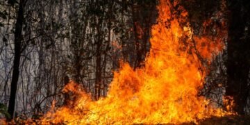 Se declara la calamidad pública en el Tolima ante emergencia por incendios