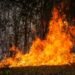 Se declara la calamidad pública en el Tolima ante emergencia por incendios