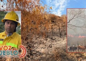 Pese a la tragedia en Pereira, 10 bomberos llegan a San Luis para enfrentar el fuego que arrasa el Tolima