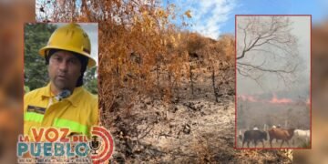 Pese a la tragedia en Pereira, 10 bomberos llegan a San Luis para enfrentar el fuego que arrasa el Tolima