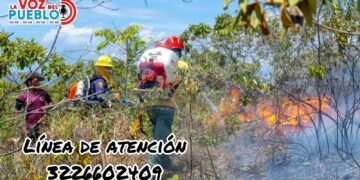 Pese a la tragedia en Pereira, 10 bomberos llegan a San Luis para enfrentar el fuego que arrasa el Tolima