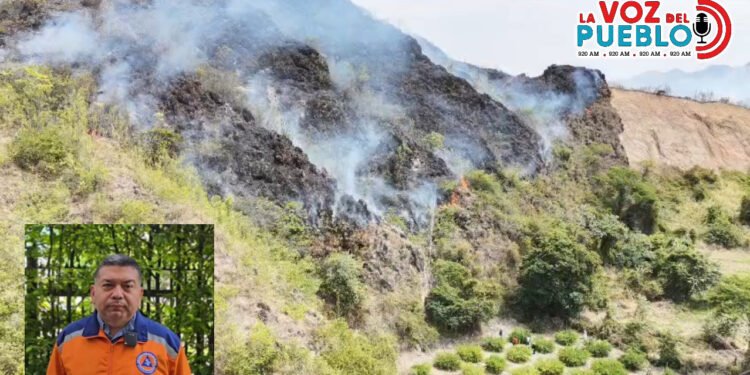 “La candela no nace sola”: Defensa Civil advierte posible mano criminal detrás de incendios en Tolima