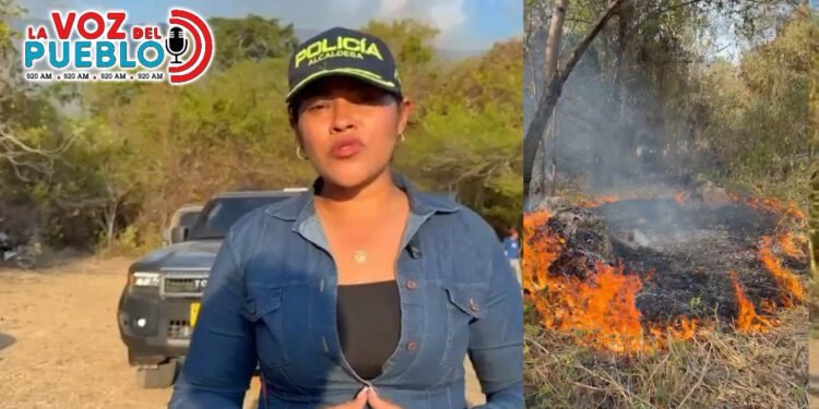 ¡Alcaldesa pide ayuda! Cerro Las Mercedes lleva seis días y amenaza los acueductos veredales en Suárez