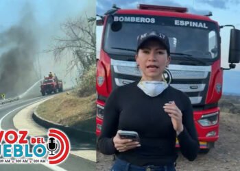 Tolima amaneció con 14 incendios activos: Venadillo, Coello y San Luis siguen en emergencia