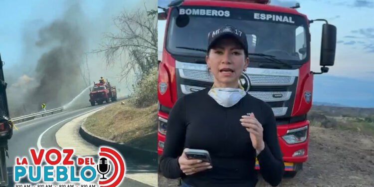Tolima amaneció con 14 incendios activos: Venadillo, Coello y San Luis siguen en emergencia