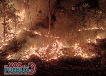 Incendios consumen bosques y humedales en San Luis: autoridades advierten que lo peor está por venir