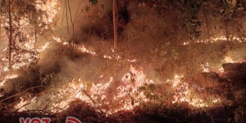 Incendios consumen bosques y humedales en San Luis: autoridades advierten que lo peor está por venir