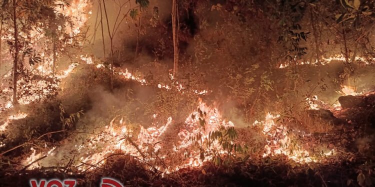 Incendios consumen bosques y humedales en San Luis: autoridades advierten que lo peor está por venir