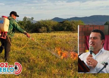 Alcalde denuncia que presuntos pirómanos encendieron seis focos de incendio en Roncesvalles