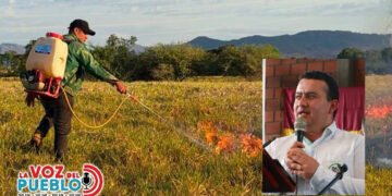 Alcalde denuncia que presuntos pirómanos encendieron seis focos de incendio en Roncesvalles