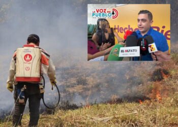 Valle de San Juan logra apagar todos sus incendios, pero deja un preocupante saldo de 750 hectáreas afectadas