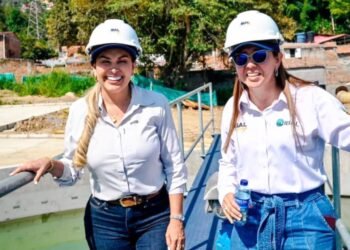 Renunció Érika Palma a la Gerencia de Proyectos Estratégicos de Ibagué 