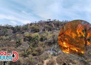 Tolima espera lluvias el domingo mientras combate 36 incendios forestales