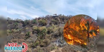 Tolima espera lluvias el domingo mientras combate 36 incendios forestales