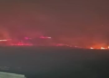 Incendio en la hacienda El Zorro deja más de 110 hectáreas afectadas; autoridades mantienen monitoreo