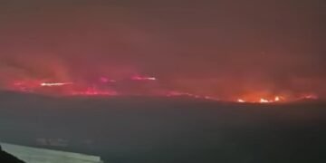 Incendio en la hacienda El Zorro deja más de 110 hectáreas afectadas; autoridades mantienen monitoreo