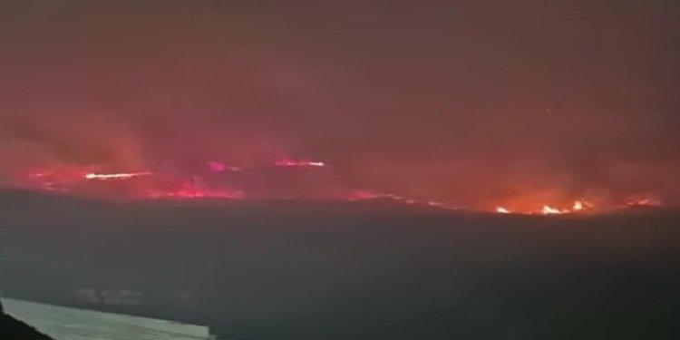 Incendio en la hacienda El Zorro deja más de 110 hectáreas afectadas; autoridades mantienen monitoreo