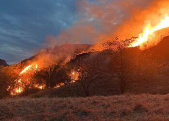 Ortega enfrenta incendios con más de 1.500 hectáreas afectadas y 800 familias damnificadas