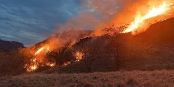 Ortega enfrenta incendios con más de 1.500 hectáreas afectadas y 800 familias damnificadas