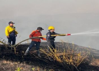 Bomberos de Ibagué atendieron tres incendios forestales durante el fin de semana